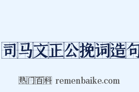 司马文正公挽词造句是什么意思的图片